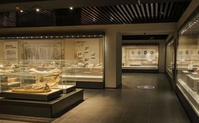 妺妺第一次啪啪好紧WWW